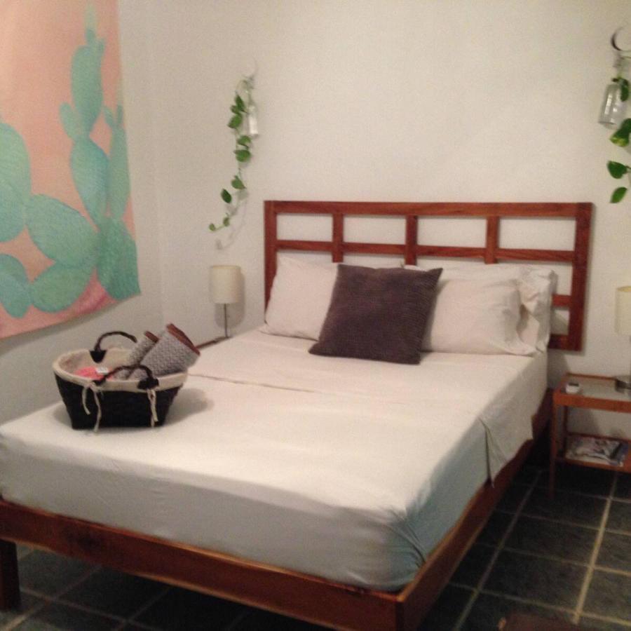Apartmán Casa De Hojas Playa del Carmen Exteriér fotografie