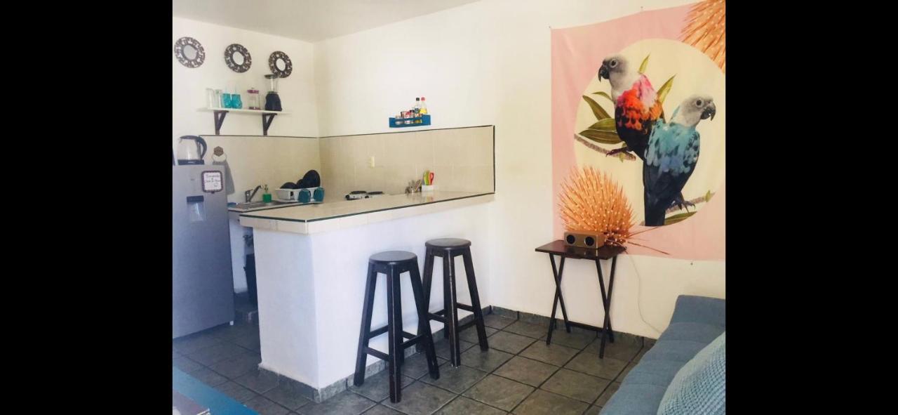 Apartmán Casa De Hojas Playa del Carmen Exteriér fotografie