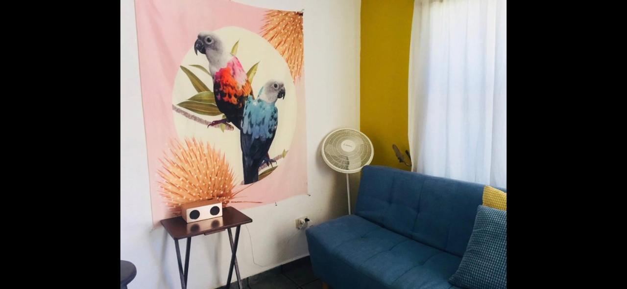 Apartmán Casa De Hojas Playa del Carmen Exteriér fotografie