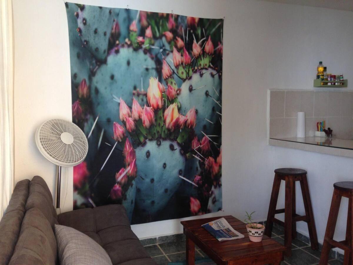 Apartmán Casa De Hojas Playa del Carmen Exteriér fotografie