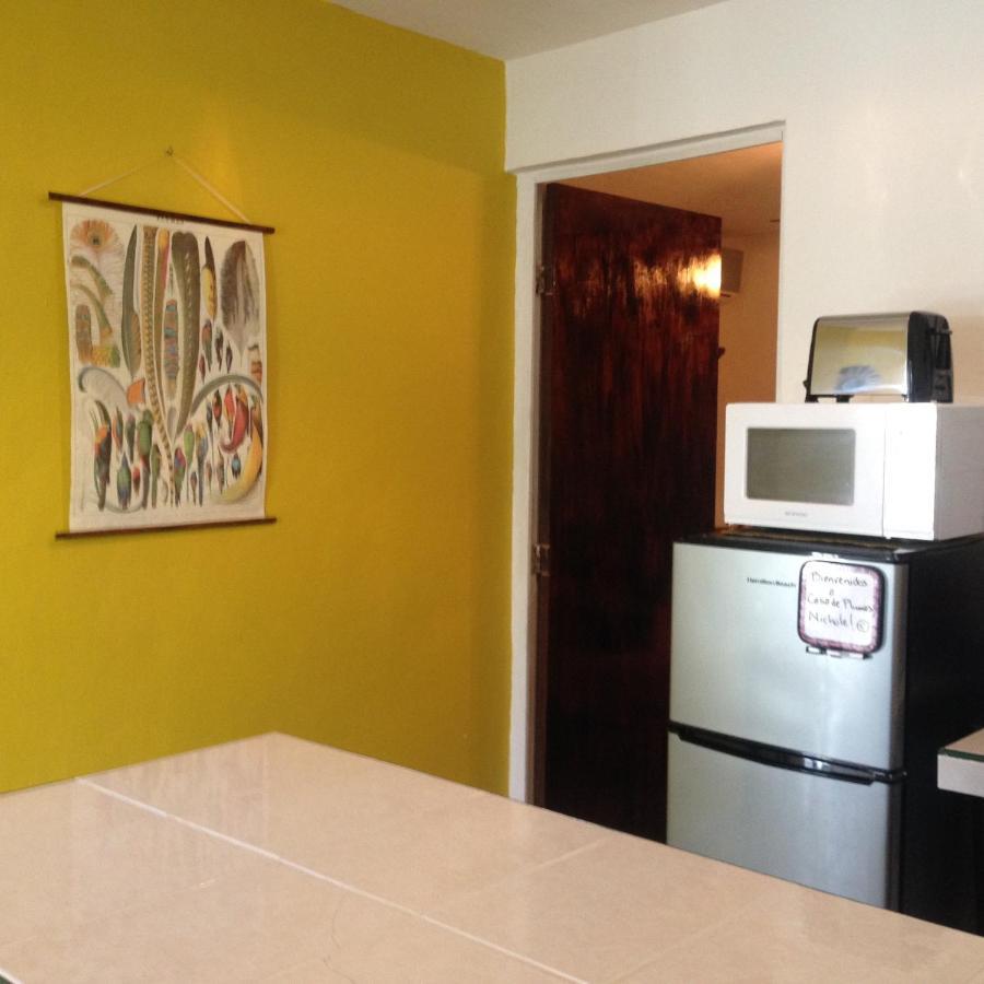 Apartmán Casa De Hojas Playa del Carmen Exteriér fotografie